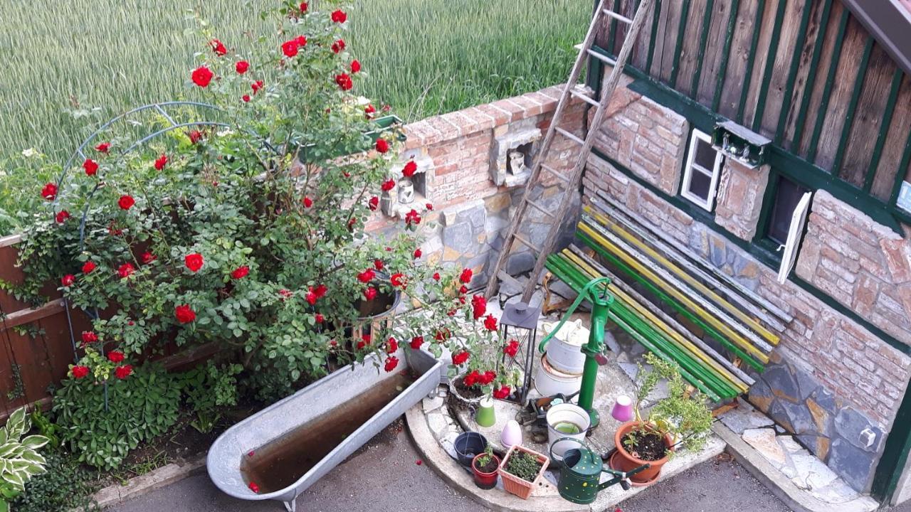 Gaestezimmer Victoria Linsberg 外观 照片